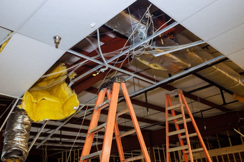 Ceiling Demolition Service detail